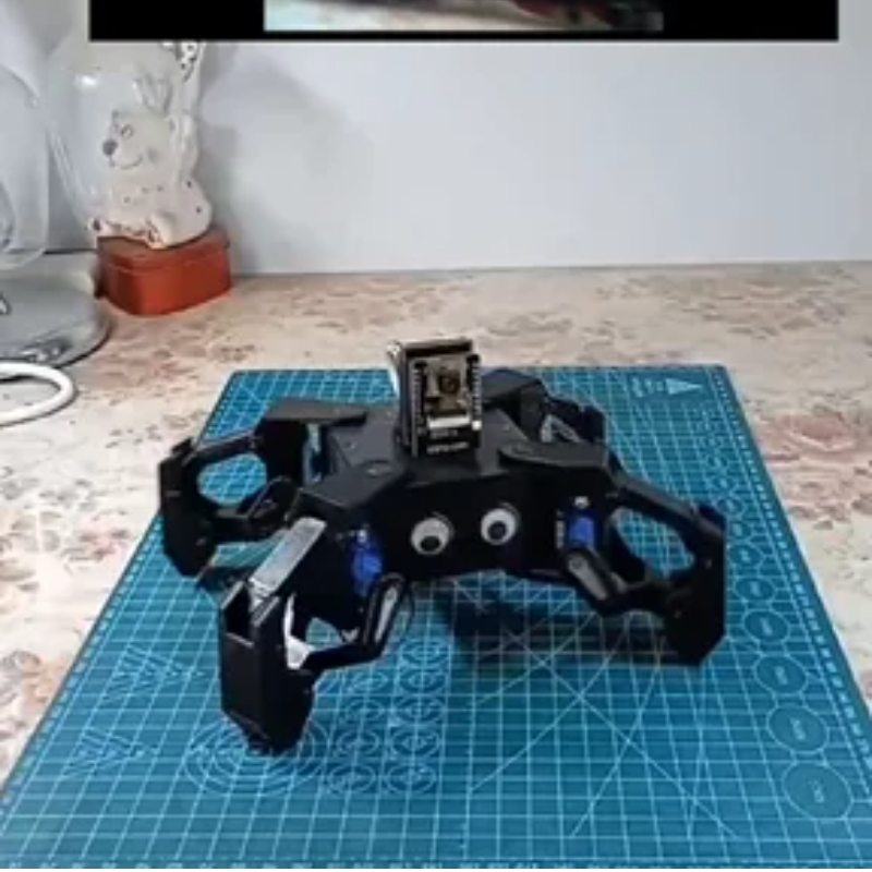 SG90 Video Robot Spider met Ca - Esp8266 recensie en prijs
